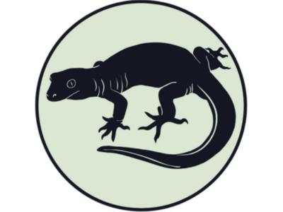 Mokopirirakau / Forest gecko