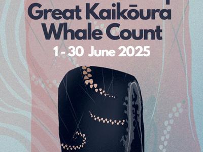 Raising funds to support and continue the annual Great Kaikōura Whale Count!