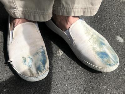 Walk a mile with me - and help end homelessness in Wellington