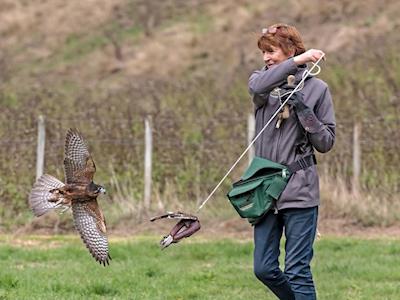 May the 4th be with you!