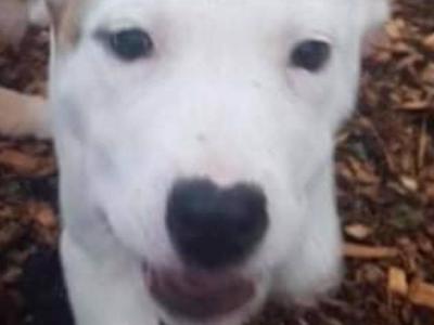 My birthday fundraiser