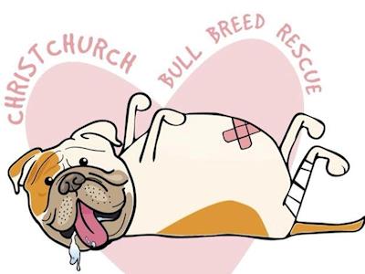 Help Chch Bull Breed Rescue get a homebase!!