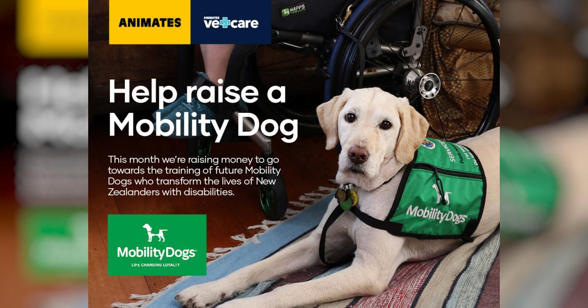 Animates Fundraiser Proudly Supporting Mobility Dogs Givealittle