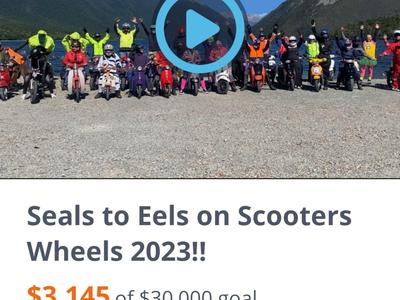 Seals to eels 2023