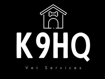 Jumping Out For A Cause