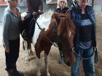 On going care of horses - feeding & vet fees