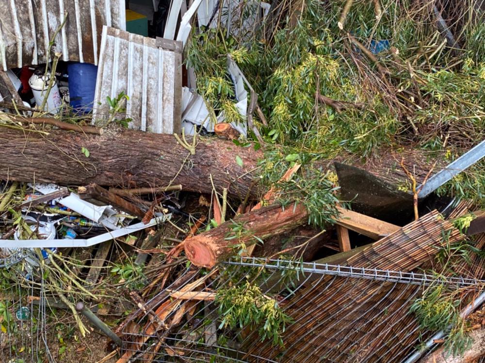 A Tree Fell On My House A Day Before Lockdown Givealittle