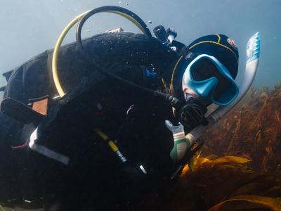 I'm going diving to support 2 great causes