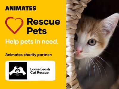 Animates Fundraiser - Proudly supporting Loose Leash Cat Rescue