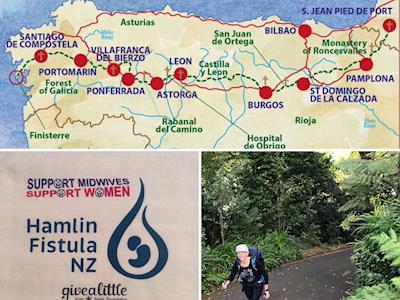 Support Midwives, Women, and Babies in Ethiopia through Hamlin Fistula NZ