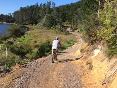 Completing the Pauanui Tairua Trail