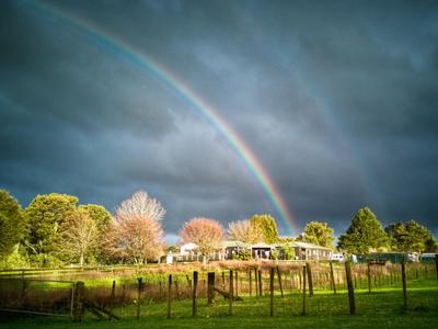 Stepping Stone Ministries Trust