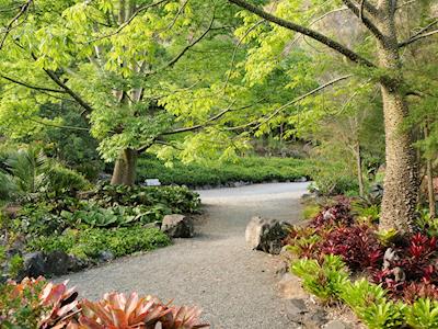 Whangarei Quarry Gardens Trust