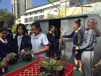 Kiwi Experience are Green not Mean