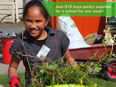 Garden to Table Schools Programme