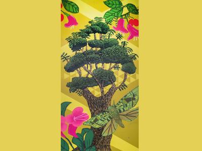 Room 203 Puriri- Amy Smith