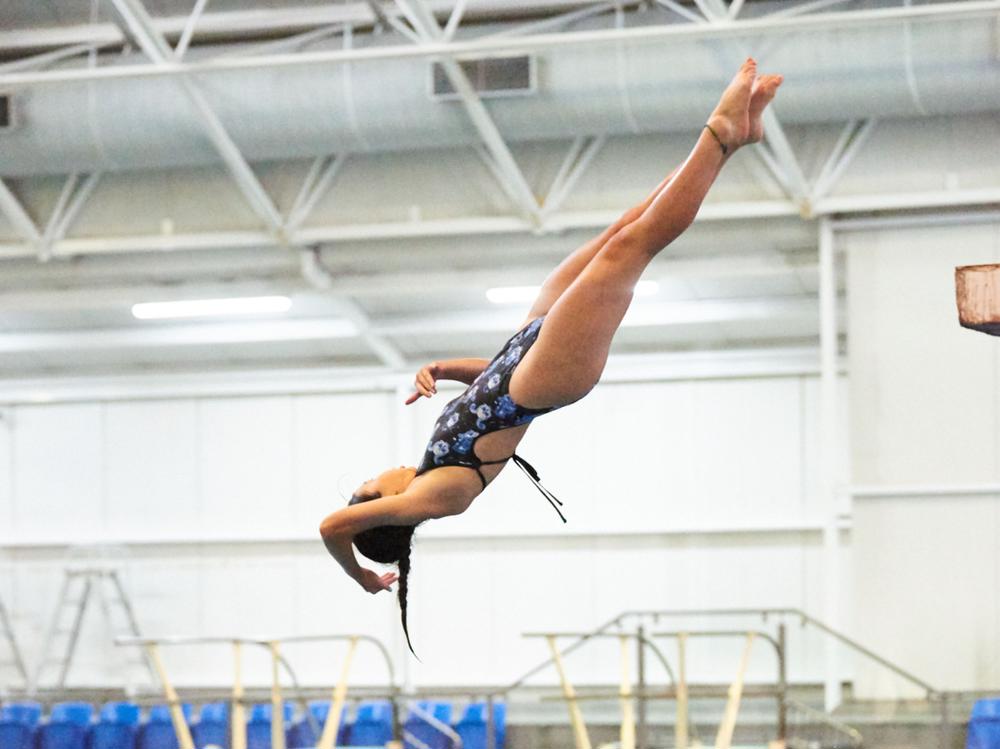 My springboard to success Givealittle