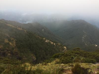 Hit the Hills for Joyya