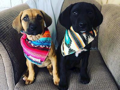 Jumping for Saving Hope Foundation 