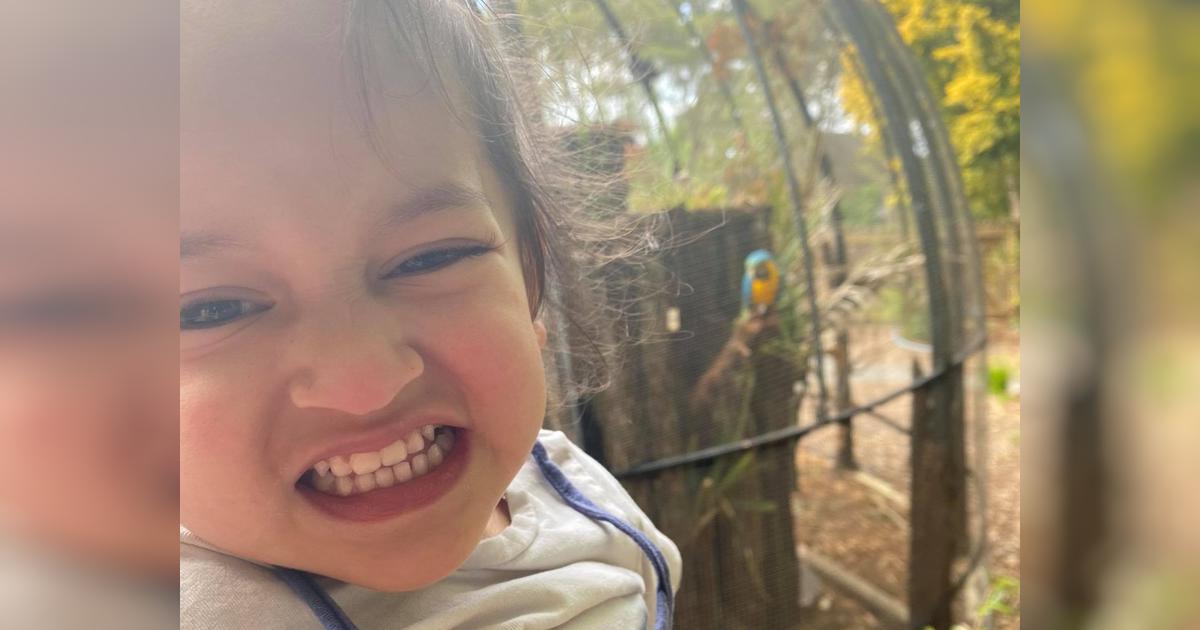 Mila-Anne and her Lifes Journey - Givealittle