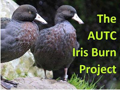 The AUTC Iris Burn Project