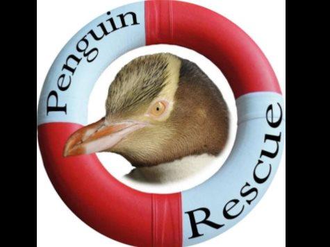 Penguin Rescue - Updates - Givealittle