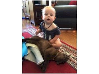 Little Hero Fundraiser - Vinnie's Gift to NICU