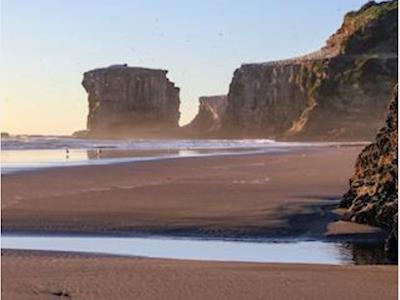 Walking To Turn The Tide Against Family Violence