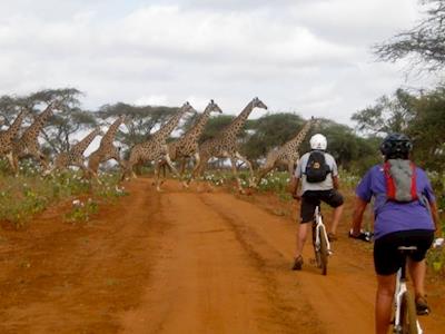 SoThey Can- Cycle the Savannah