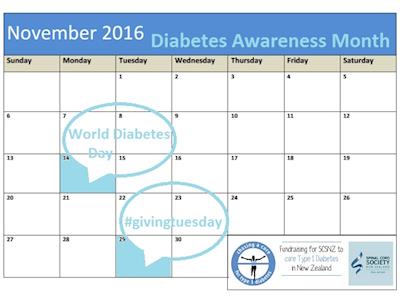 SCSNZ #givingtuesday 2016