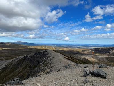 PAS my Walking Shoes