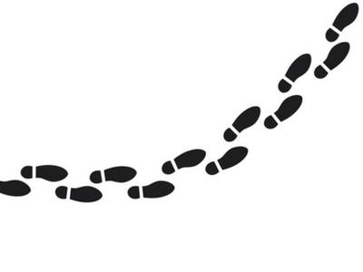 PCS - Private Counting Steps