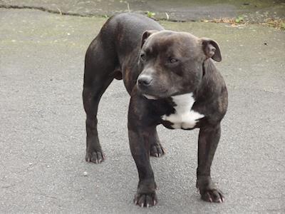 BRING BACK DARTH - MAY THE FORCE BE WITH HIM