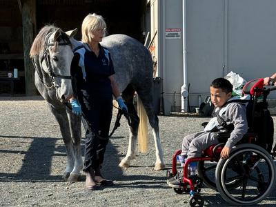 Totara Park Riding for the Disabled - Please Support Our Fundraiser Towards the Purchase of New Horse 'Ferdie'