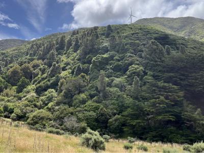 Wellington Natural Heritage Trust