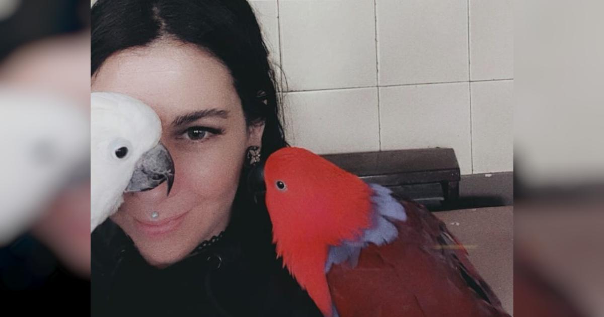 In Hali's loving memory Givealittle