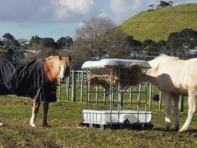 Fundraising for Hay Feeders at Ambury Park Centre
