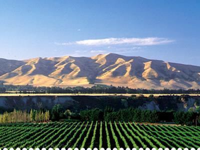 Saint Clair Vineyard Half Marathon 12th May