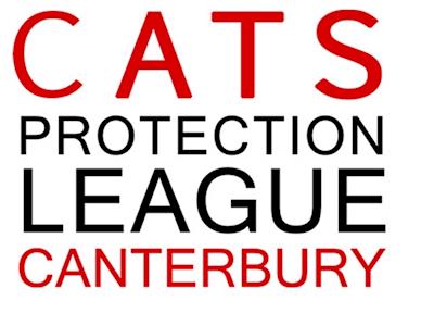 We require more snuggle safe microwave heat pads for the cattery cats