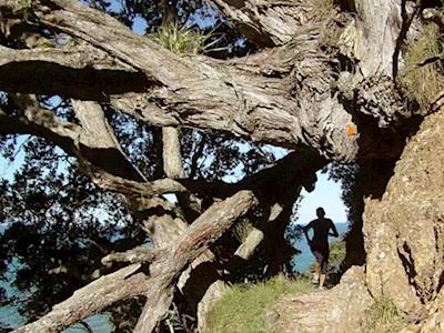 Frances and Michael Take on The Nugget for TSC