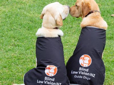 Running the Tora Coastal Trail to help fundraise for Blind Low Vision NZ this month!