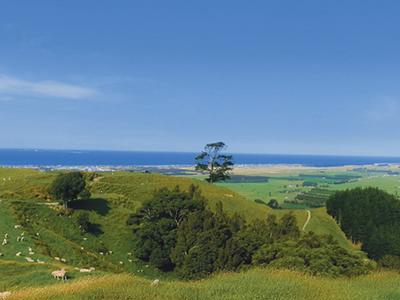 Support Good Neighbour!