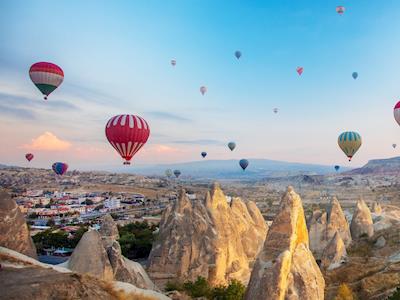 NZTN Matching Grant Fundraiser