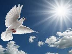 Help provide comfort and hope for patients and family of patients at Totara Hospice 