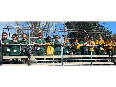 Mrs Worsley - Aniwaniwa