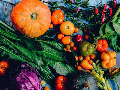 Teaching Garden Appeal - help us build a community vege garden