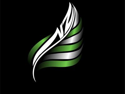 First Full New Zealand competing in the F1 in Schools World Finals