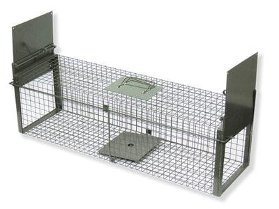 Warning: This is a trap!