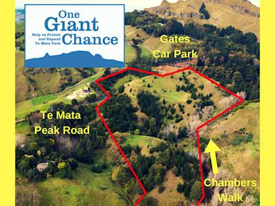 One Giant Chance!  Help Protect and Expand Te Mata Park 