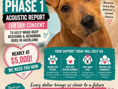 Help WAGS Rescue NZ Secure Our Sanctuary
